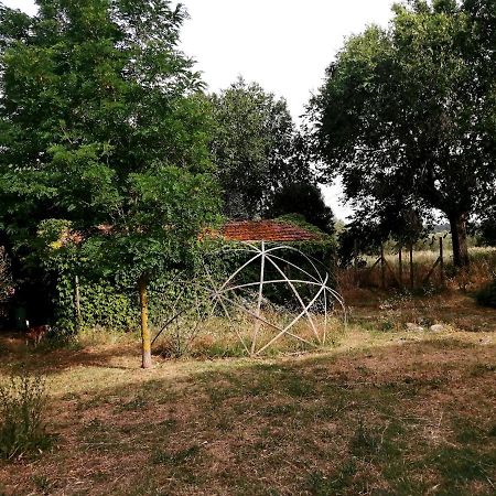 Da Pino Guest House Монтемерано Екстериор снимка