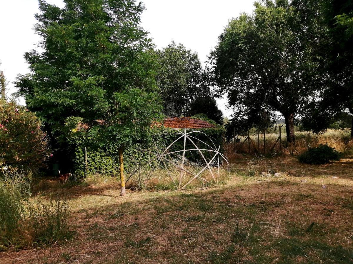 Da Pino Guest House Монтемерано Екстериор снимка