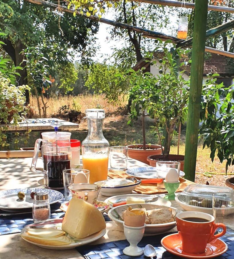 Da Pino Guest House Монтемерано Екстериор снимка