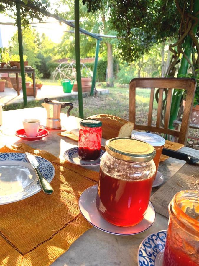 Da Pino Guest House Монтемерано Екстериор снимка
