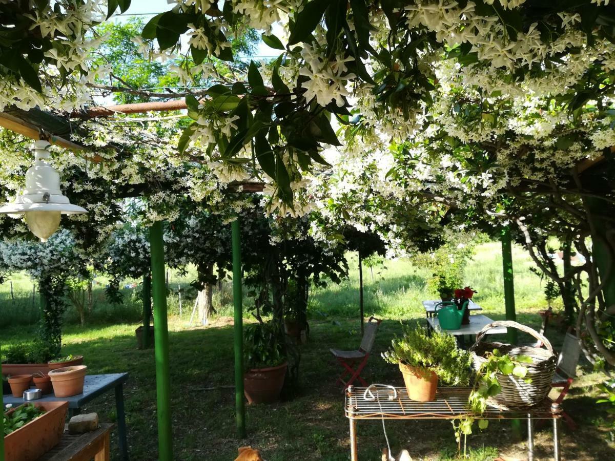 Da Pino Guest House Монтемерано Екстериор снимка